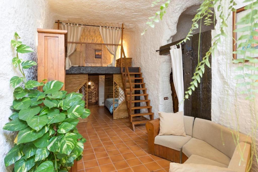 Live Socorro Cave Villa Güimar Exterior foto